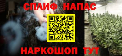 дмт Моздок