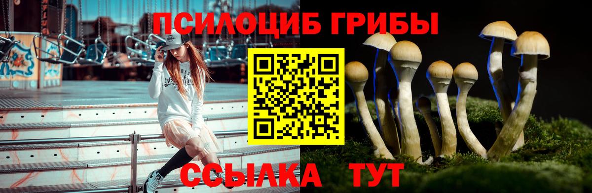 Самара  Псилоцибиновые грибы Magic Shrooms  Вход с VPN  Псилоцибиновые грибы Psilocybine cubensis 